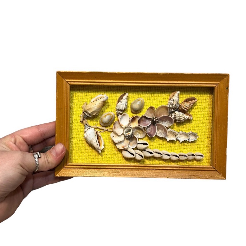 Vintage Aloha Hawaii Shell Collection Of The Pacific Framed Shell Folk Art
